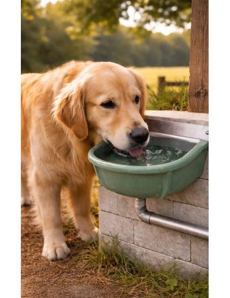 Cane che beve nell'abbeveratoio a livello costante in ghisa FDA