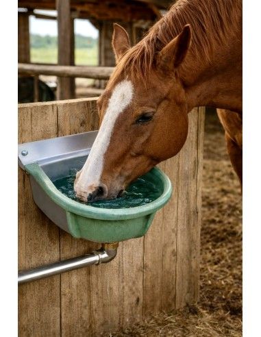 Cavallo che beve nell'abbeveratoio a livello costante in ghisa FDA