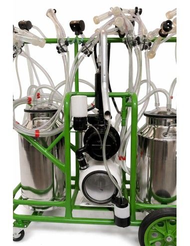 Sistema mungitura FA27032 per capra e pecora