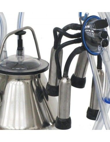 gruppo tettarelle per bovino