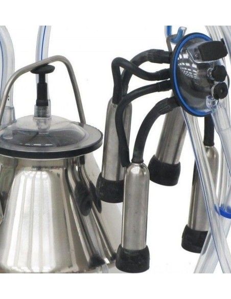 gruppo tettarelle per bovino