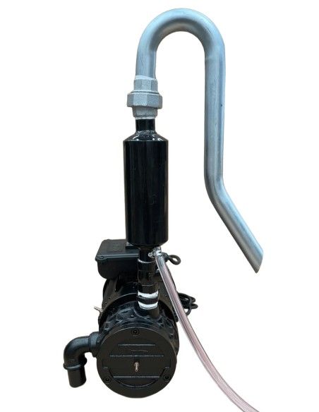 Motore Elettrico con Pompa del Vuoto ad Olio FACM20612 280 l/min 220V 0,75 kW