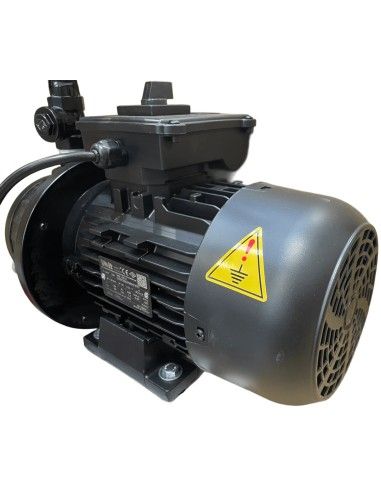 Motore Elettrico con Pompa del Vuoto ad Olio FACM20701 400 l/min 220V 1,10 kW per mungitrice FDA