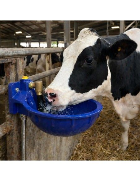 Abbeveratoio in ghisa FA-BE con pendolo rinforzato per bovini ed equini