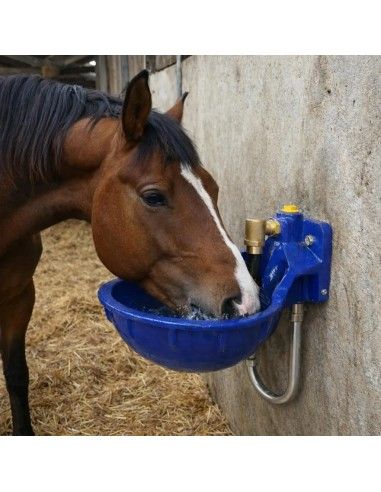 Abbeveratoio in ghisa con cataforesi FA-BE con pendolo rinforzato FDA per equini