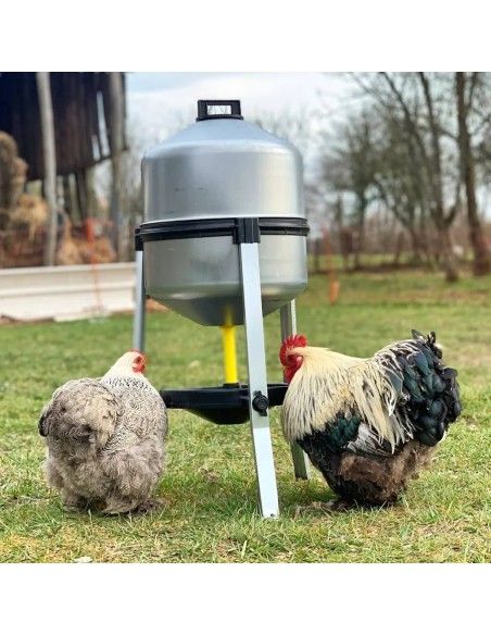 Abbeveratoio automatico zincato per galline e polli | Attrezzature zootecniche FDA