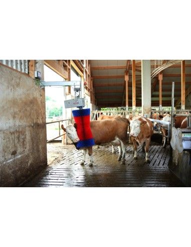 Spazzolatrice rotante per bovini HAPPYCOW SWING Maxi