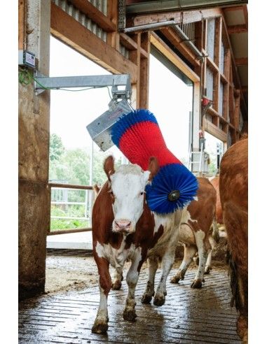 Spazzolatrice rotante per bovini HAPPYCOW SWING Maxi