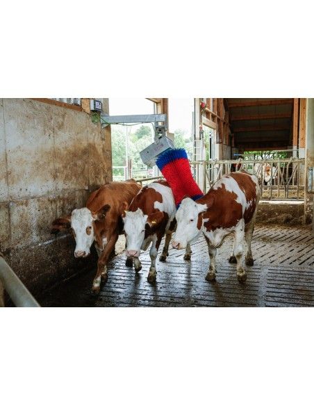 Spazzolatrice rotante per bovini HAPPYCOW SWING Maxi