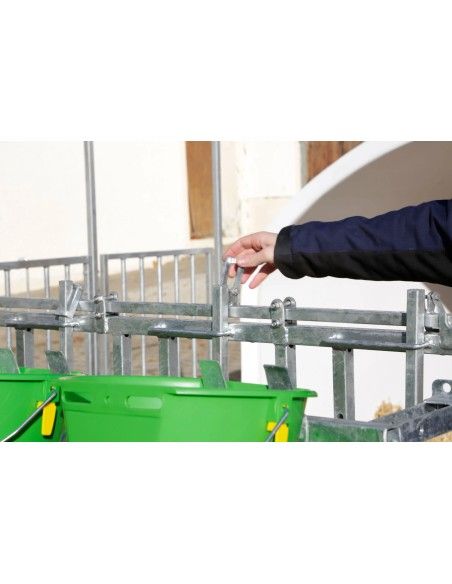 La CalfHouse Premium XXL con recinto è una soluzione di fascia alta per allevamenti moderni che vogliono gestire i vitelli in gr