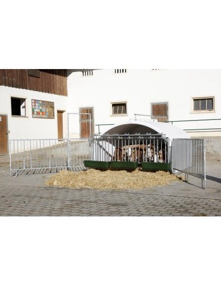 La CalfHouse Premium XXL con recinto è una soluzione di fascia alta per allevamenti moderni che vogliono gestire i vitelli in gr