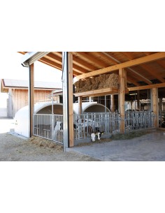 La CalfHouse Premium XXL con recinto è una soluzione di fascia alta per allevamenti moderni che vogliono gestire i vitelli in gr 2