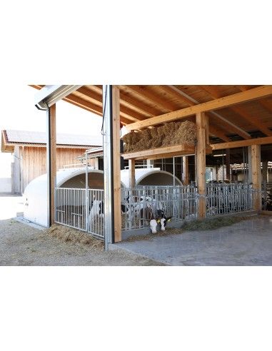 Capanne Grandi per Vitelli- CalfHouse con Recinto