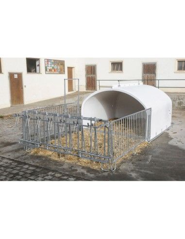 La CalfHouse Premium XXL con recinto è una soluzione di fascia alta per allevamenti moderni che vogliono gestire i vitelli in gr