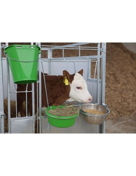 Box per Vitelli-piccolo