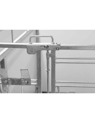 Box per Vitelli-piccolo