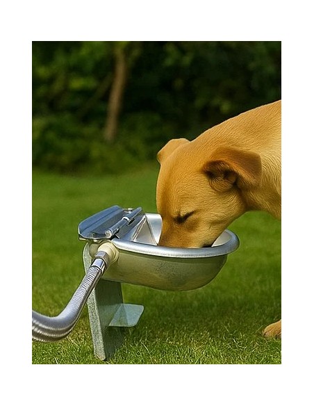 Abbeveratoio automatico con staffa a terra per cani