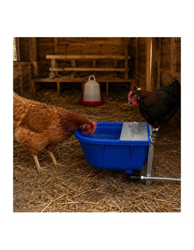 Abbeveratoio automatico con staffa a terra per galline