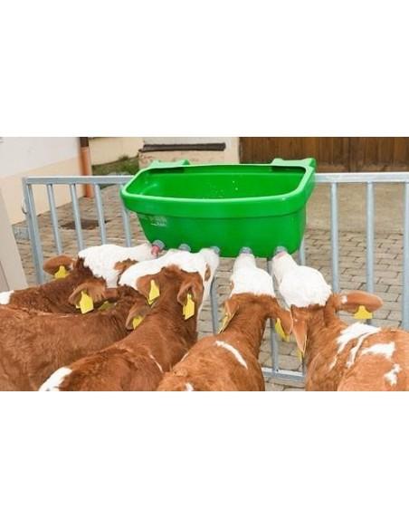 Abbeveratoio e allattamento vitelli Abbeveratoio e allattamento vitelli