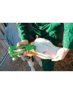 Decornificatore Buddex per vitelli 2