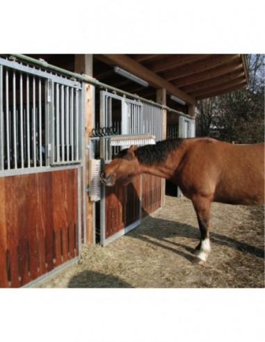 sapazzola e benessere animale