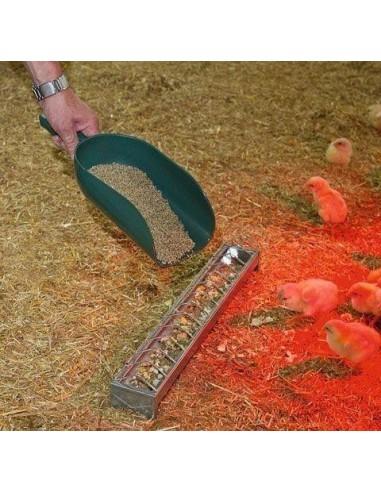 Paletta per alimenti verde in plastica capacità 2 kg