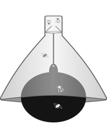 schema trappola per tafani a palla taonx-eco