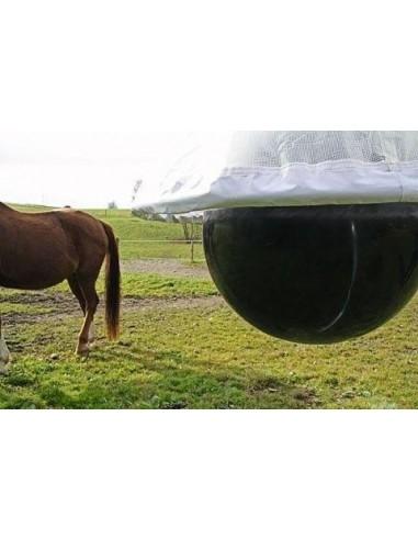 cavallo e trappola per tafani taonx.g