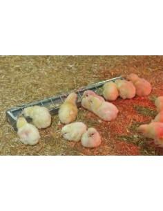 Mangiatoia zincata  per pulcini e galline 2