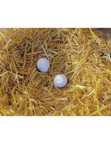 Uova artificiali di argilla 2 PEZZI