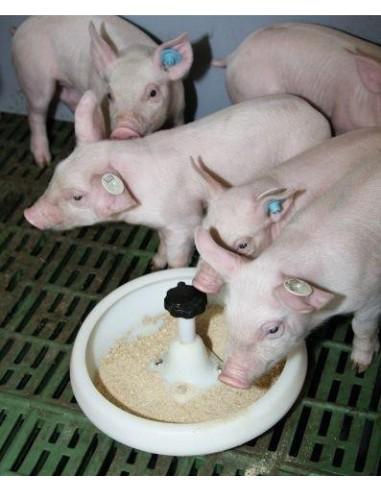 Mangiatoia TC0250P per suinetti