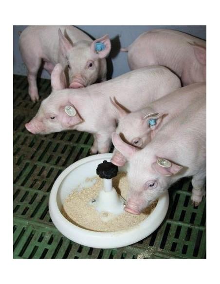 Mangiatoia TC0250P per suinetti