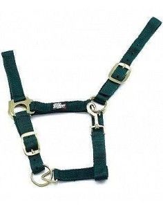 Cavezza in nylon doppio con fibbie in ferro ottonato