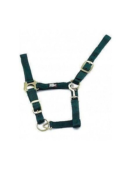 Cavezza in nylon doppio con fibbie in ferro ottonato