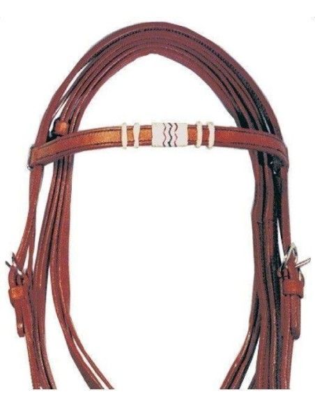 Briglie western completa di redini