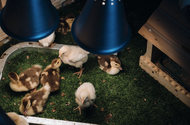 Soluzioni per il riscaldamento