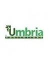 Umbria Equitazione