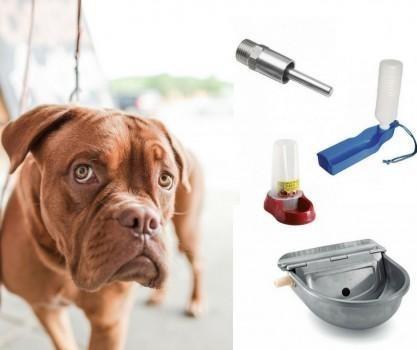 attrezzature cinofile: abbeveratoio per cani automatico - FDA shop